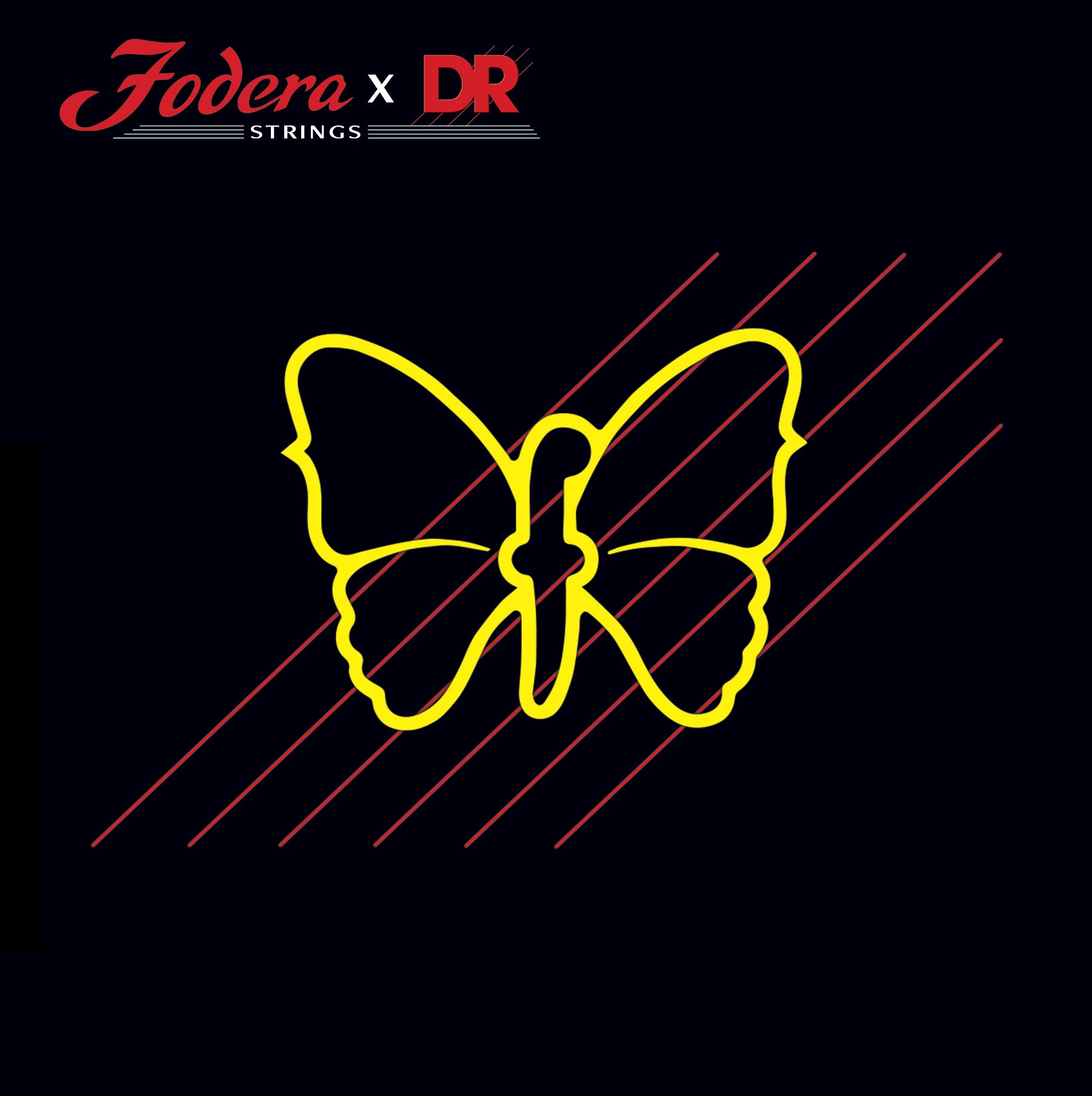 Fodera x DR Strings