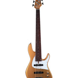 NYC Empire 5 - Shoreline Gold